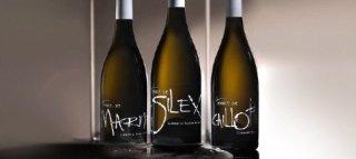 VIGNOBLES BERTHIER