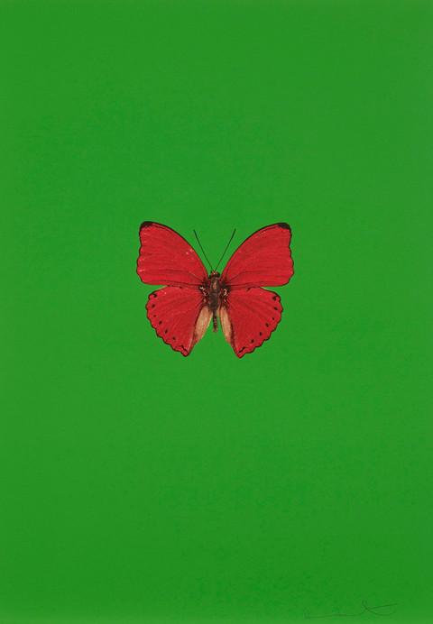 【Damien Hirst】Damien Hirst ダミアン･ハースト It's a Beautiful Day (66 X 49 cm) - #1