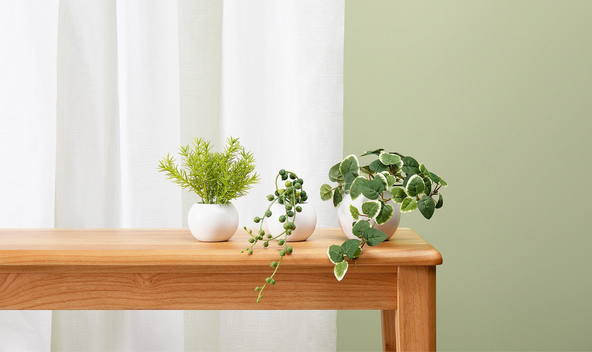 PRIMA Summer green